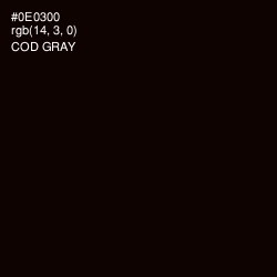 #0E0300 - Cod Gray Color Image